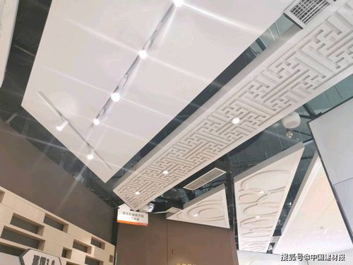善用資源，筑夢未來 中國建材集團“善用資源日”北新建材站首屆開放活動側記